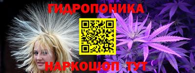 метадон Сланцы
